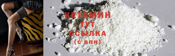 дмт Алзамай