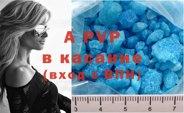 дмт Алзамай