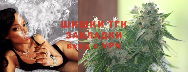 дмт Алзамай