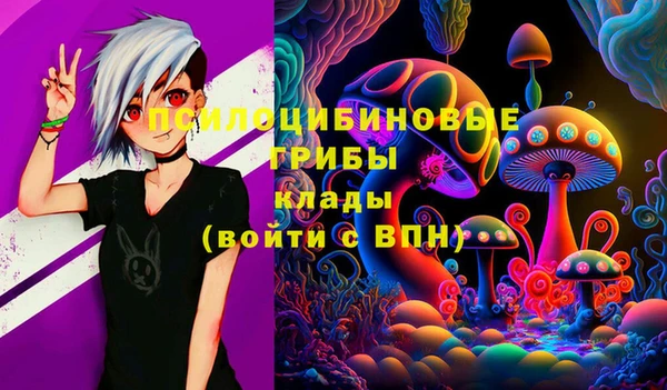 мет Алексин